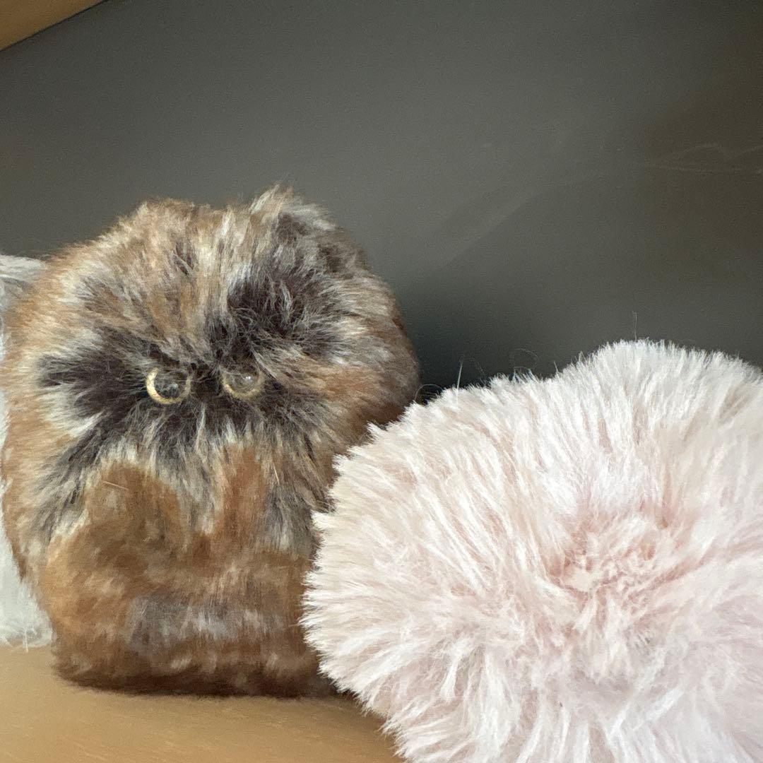 -光線- co-sen ぬいぐるみ セット販売