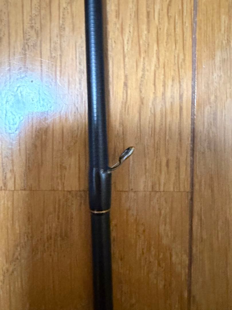 天龍（TenRyu） ブリゲイドグレイスGC87MH エギングロッド