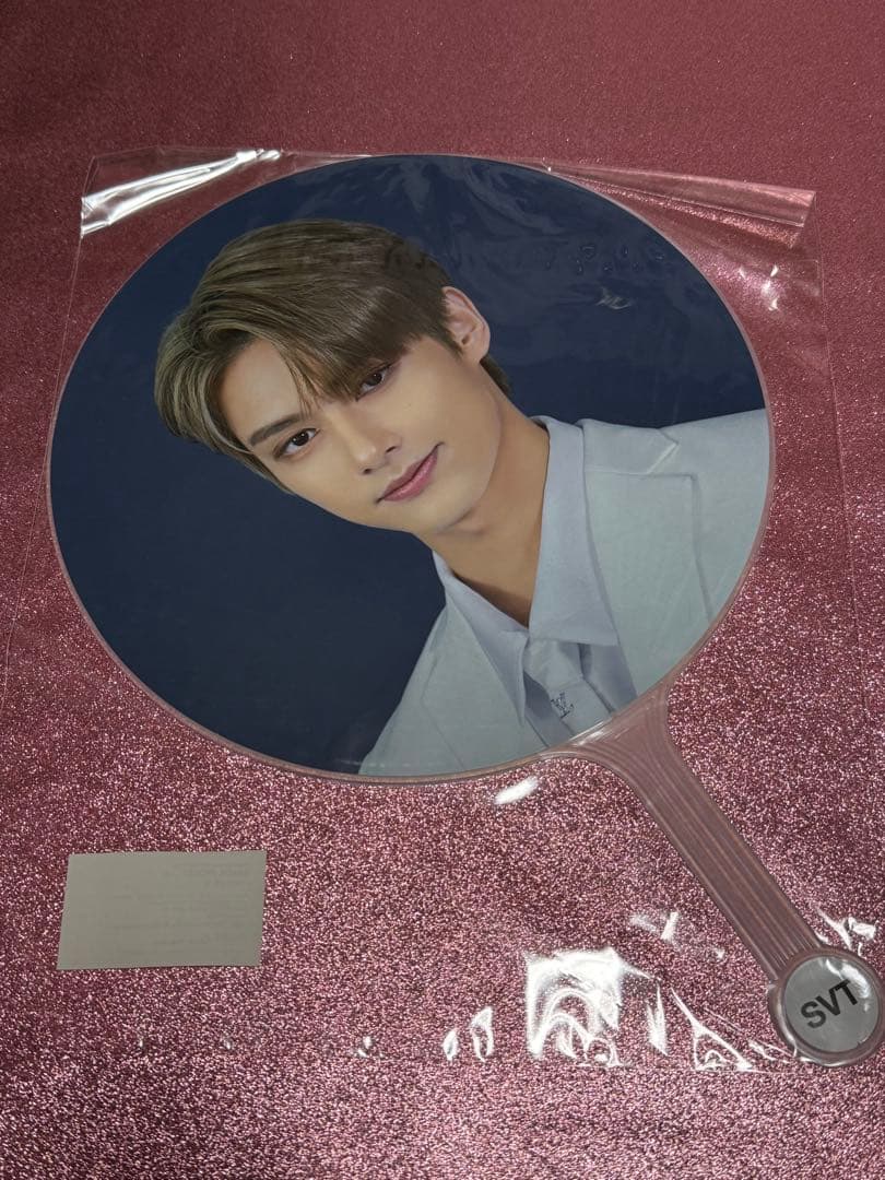 ジュン うちわ 9枚セット