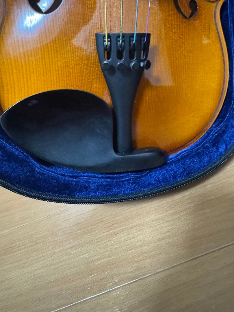 HORA Reghin 4/4 Romania 2019 バイオリン