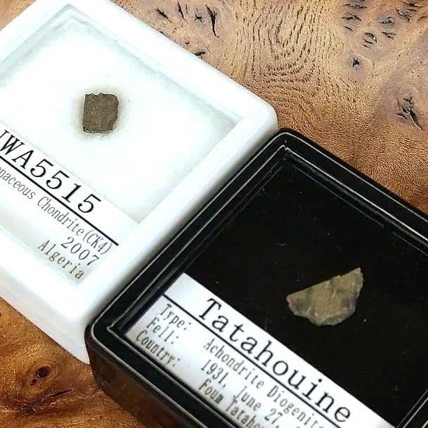 希少！ カルーンダ・タイプ NWA5515隕石+ 輝く結晶!タタフィン隕石 標本