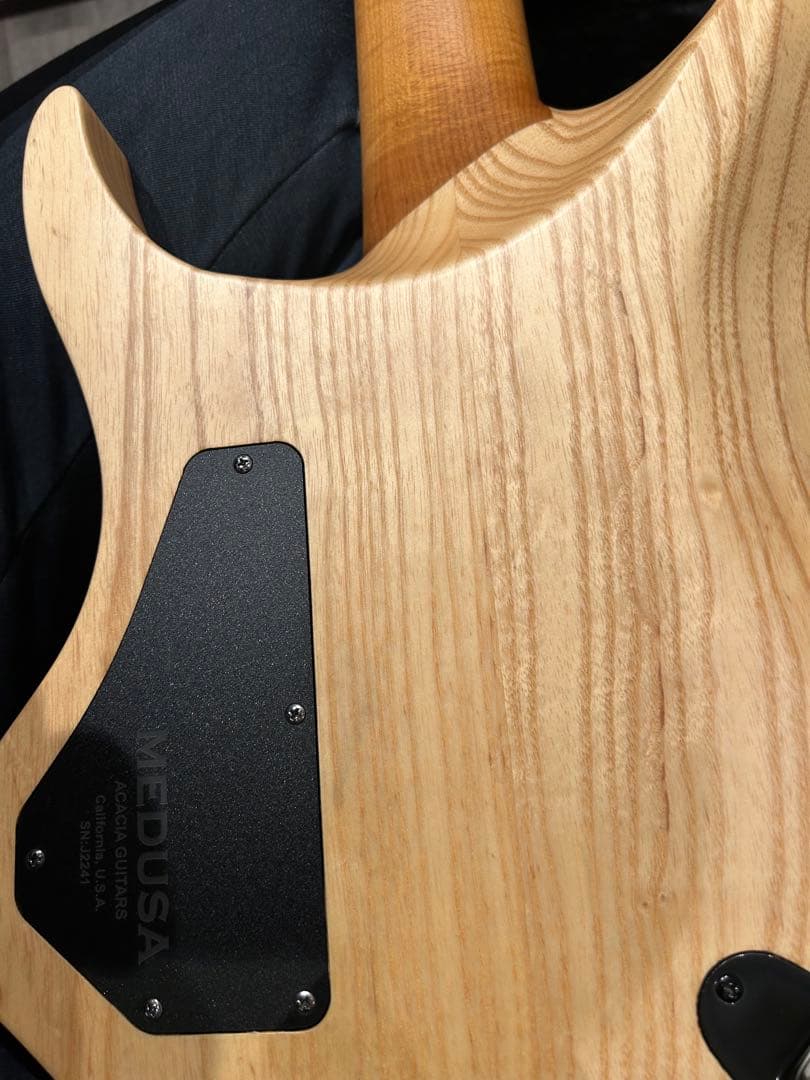 Acacia guitars MEDUSA 7弦ヘッドレス