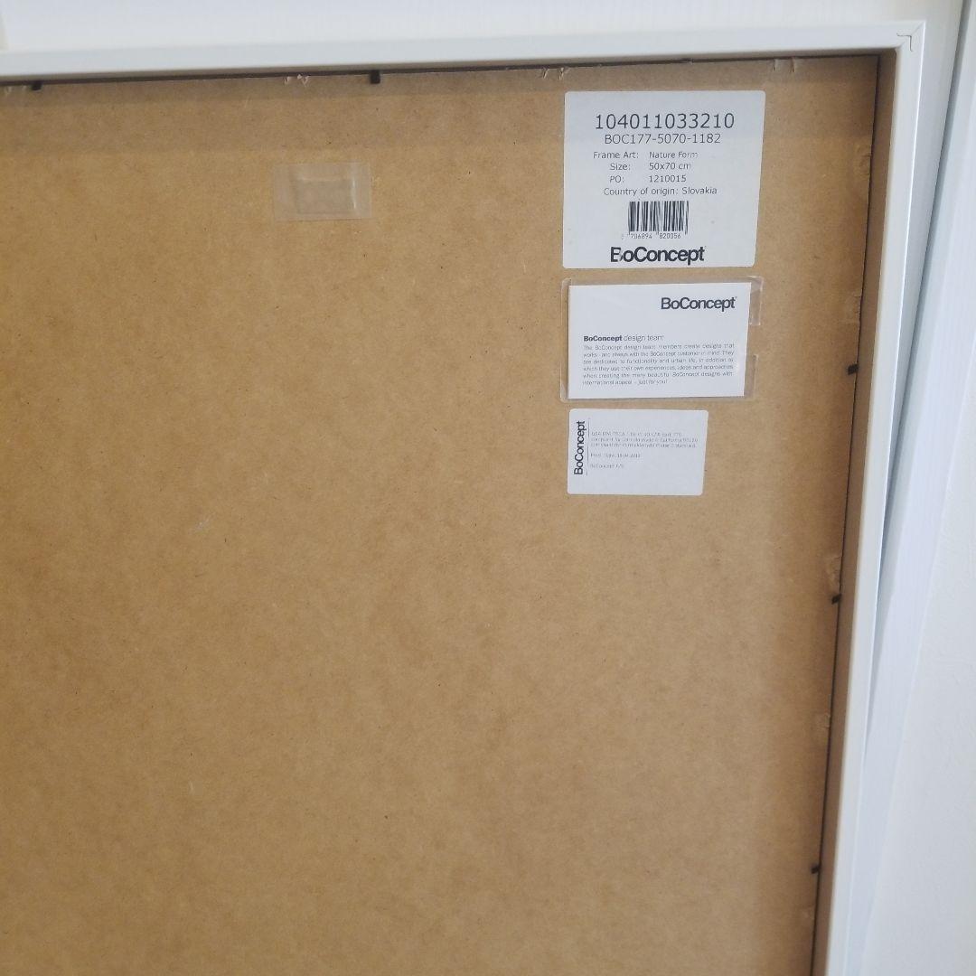 アラキ様　ボーコンセプト　フレームアート　【訳あり】