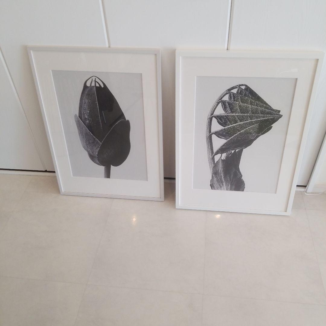 アラキ様　ボーコンセプト　フレームアート　【訳あり】