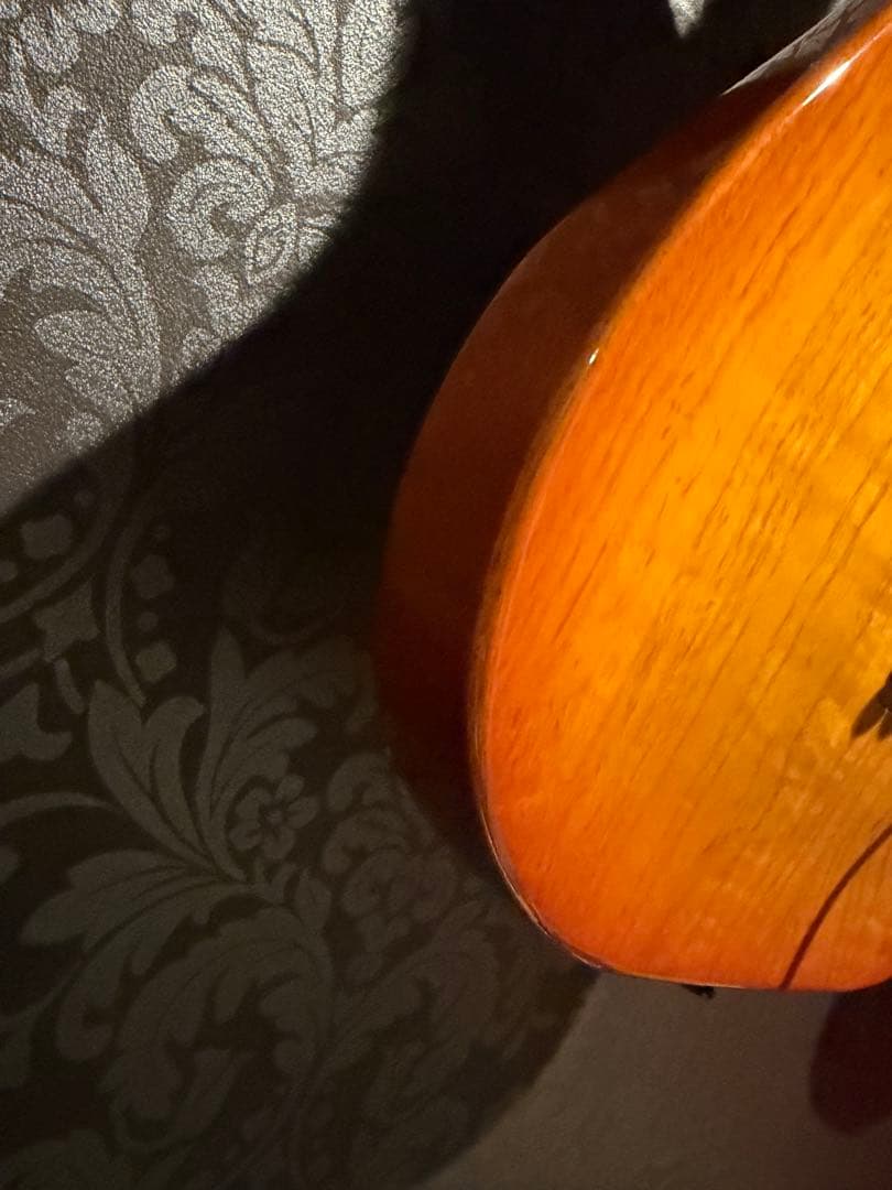 ESP ホライゾンギター　ハードケース付き