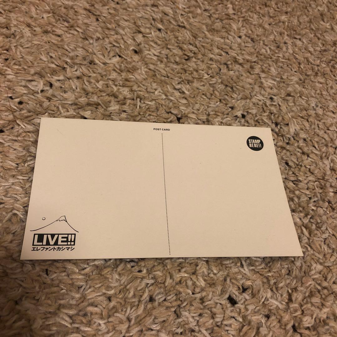 エレファントカシマシ/ツアー・パンフ LIVE !!