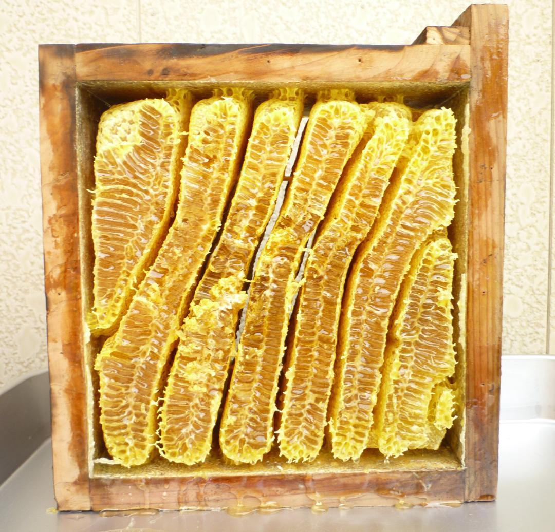 安心の日本みつばち 芳醇糖度81％優良品 非加熱 春はちみつ1,100ｇ