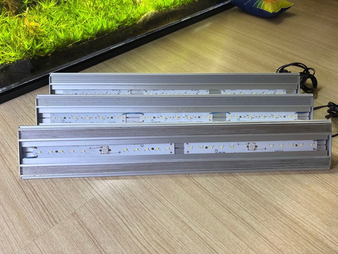 アクロトライアングル 3本セットGrow×2 Terrarium セット