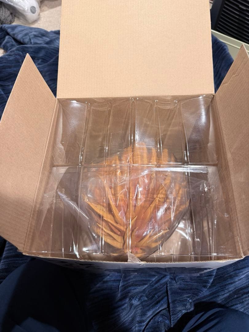 中身未開封　うしおととら　とらフィギュア