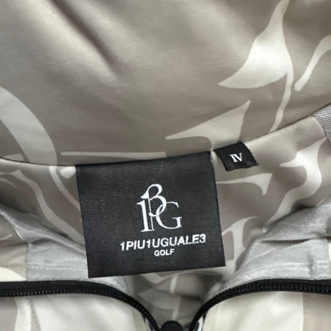 オオニシライオン