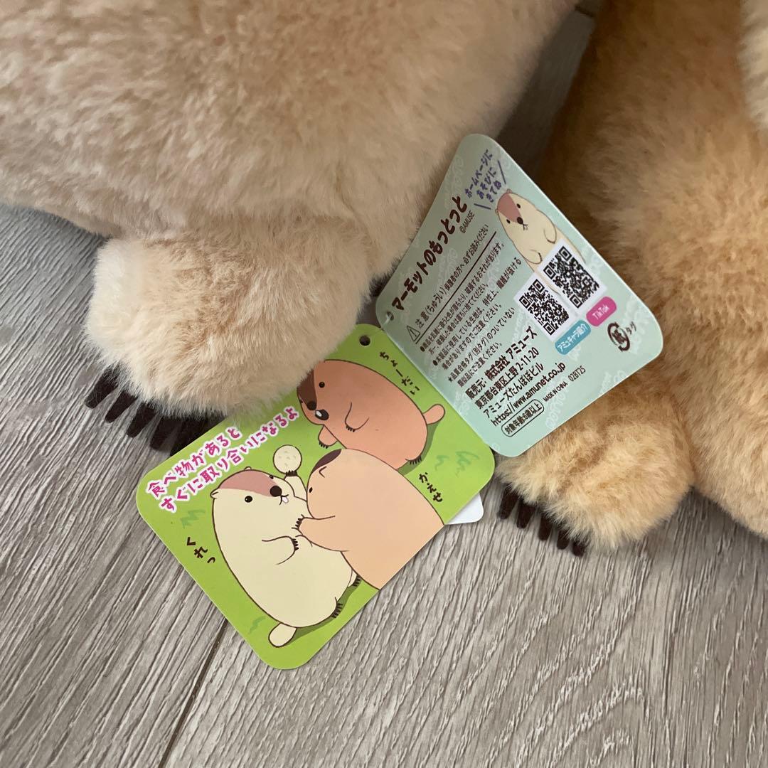 マーモットのもっとっとJB ぬいぐるみ　もっとっと　はまもと　アー太郎