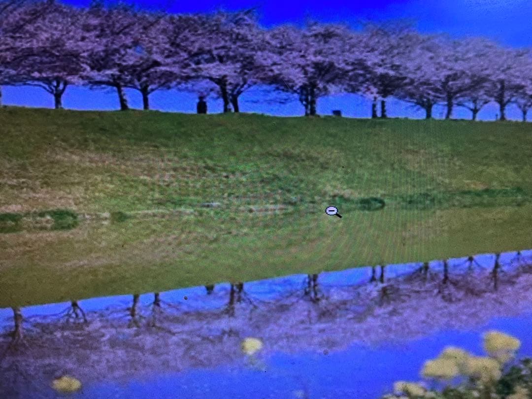 はる母ちやん9kgの2個お姫さまマーク手延そうめん