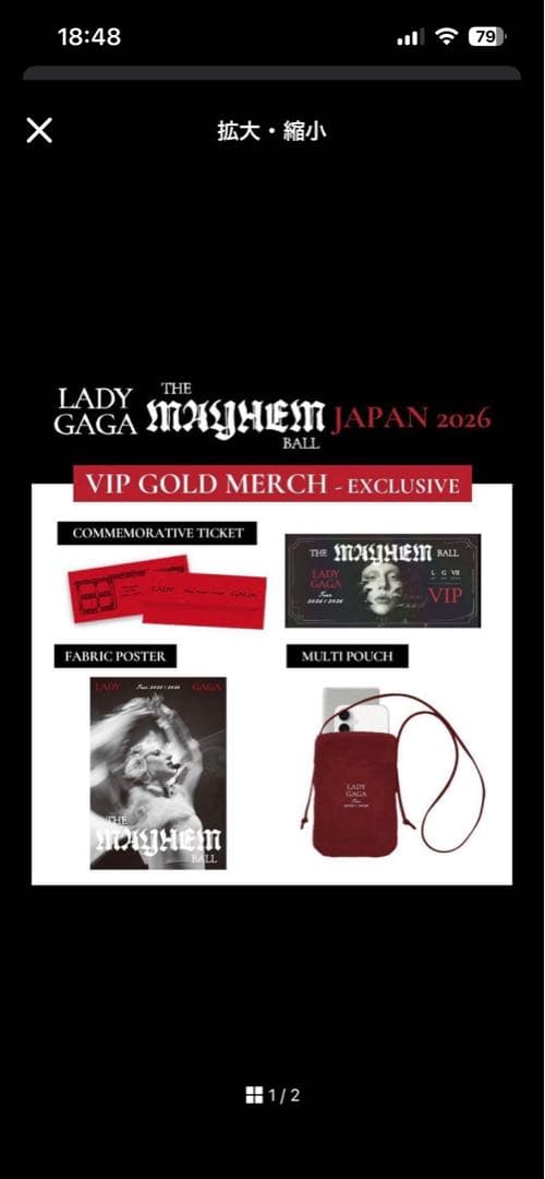 ミュージシャン Lady Gaga The Mayhem Ball VIP Gold Merch