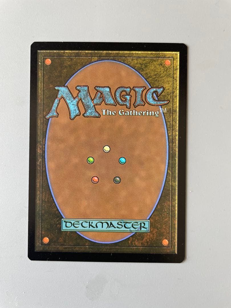 MTG 簡体字イラスト版　角海亀　Horned Turtle ポータル　他言語