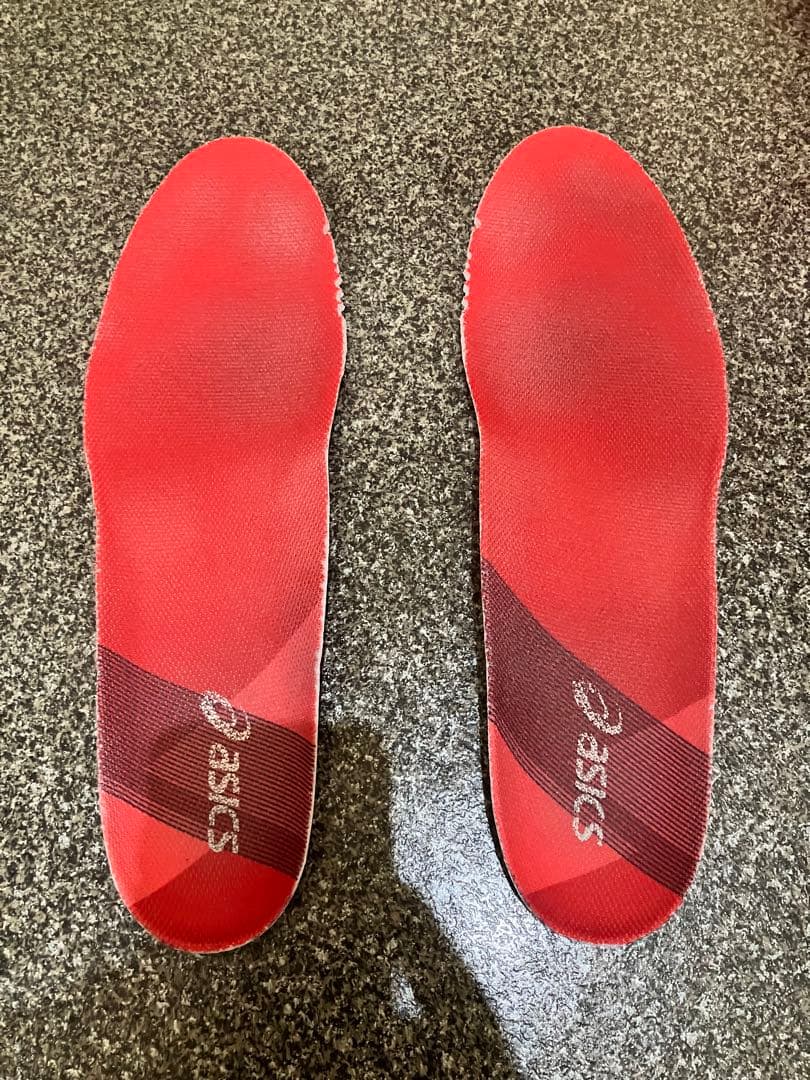 アシックス　バレーボールシューズ　西田　有志モデル　２７.５センチメートル