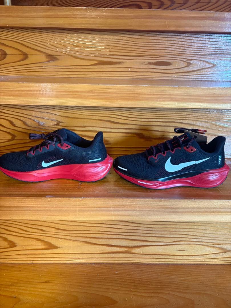 エアズームペガサス41 BTC メンズ24.5㎝