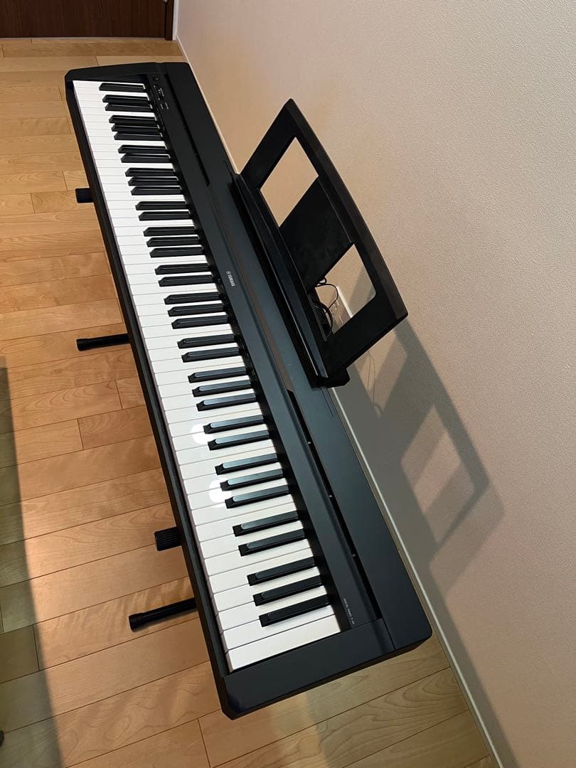 ニコ　ヤマハ　P-45B