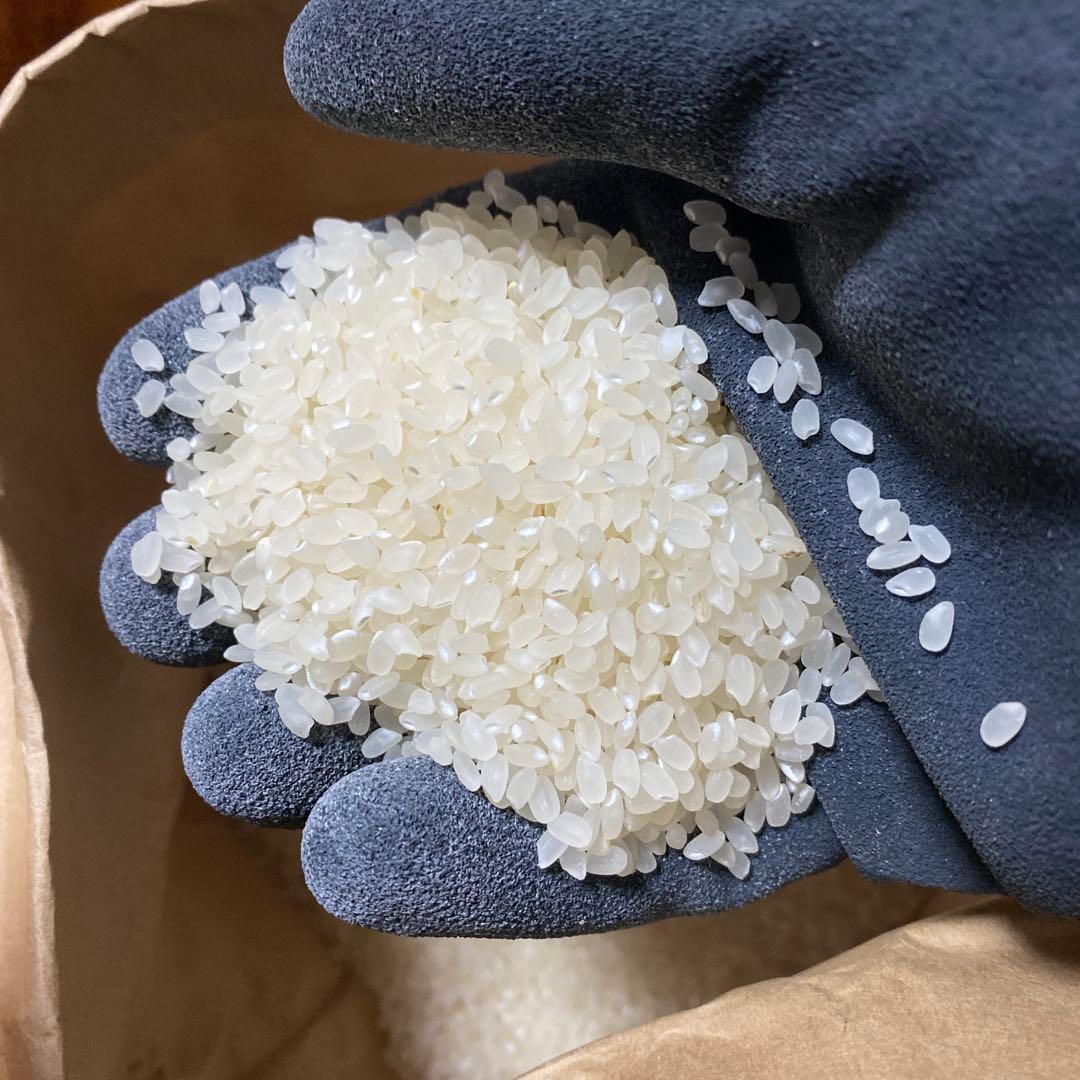 農家自慢の白米　20kg