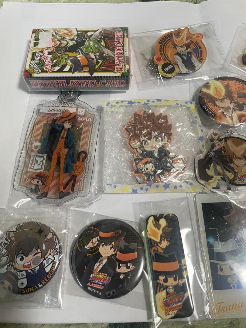 家庭教師ヒットマンREBORN 沢田綱吉セット