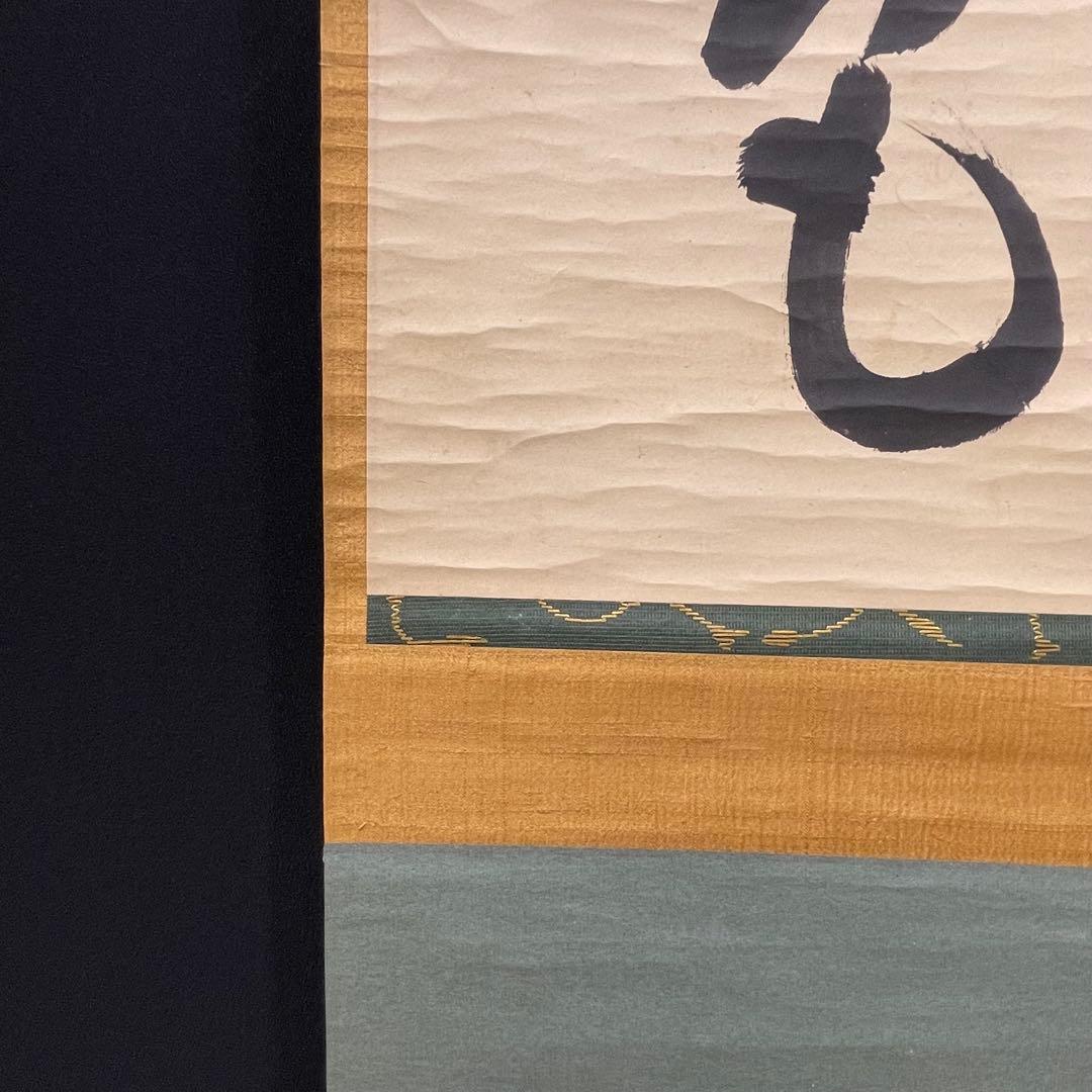 4103 藤井誡堂 「松無古今色」 共箱 肉筆 紙本 掛軸 臨済宗 大徳寺 禅語