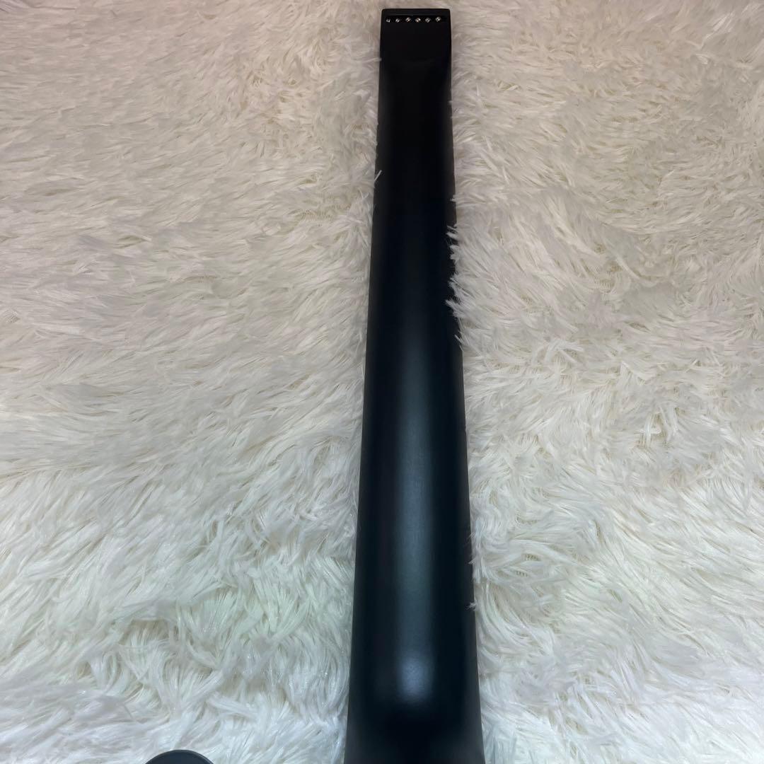 【極美品/フルスケール/ケース付き】AnyGig AGES-E トラベルギター