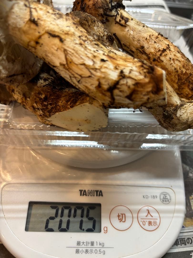 松茸　上高地産　10/15採れ　207g