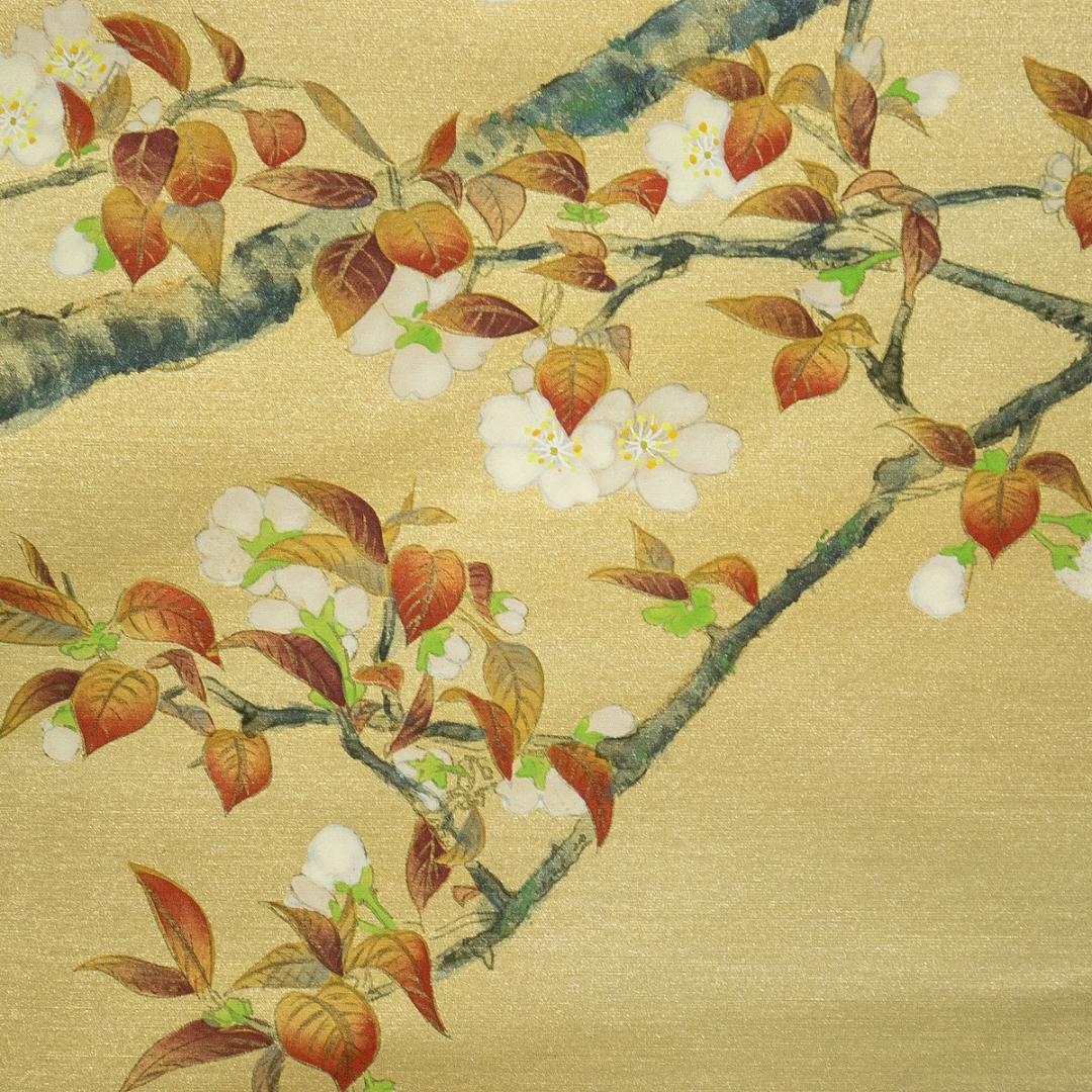 掛軸-1769　国井道成　山桜　共箱