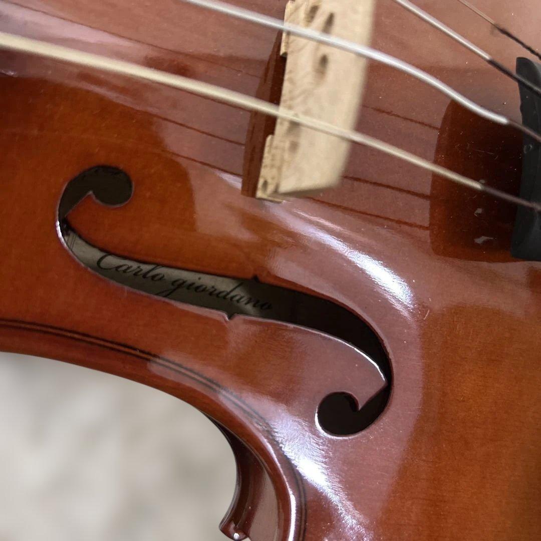 【極美品】2018年製 Carlo giordano VS-1 3/4