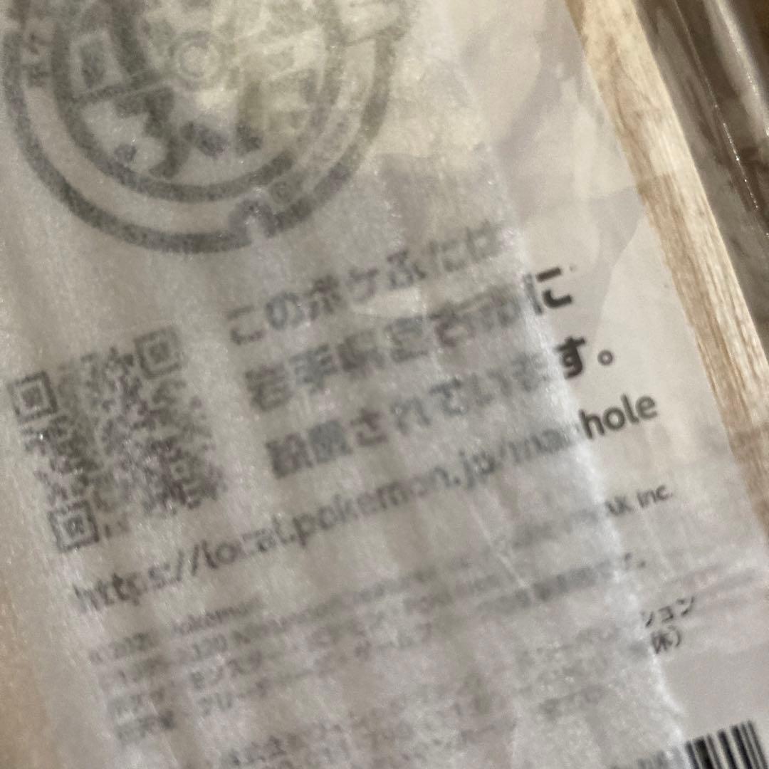 【レア・希少】 ポケふた　小さなマンホール　イシツブテ 岩手 宮古