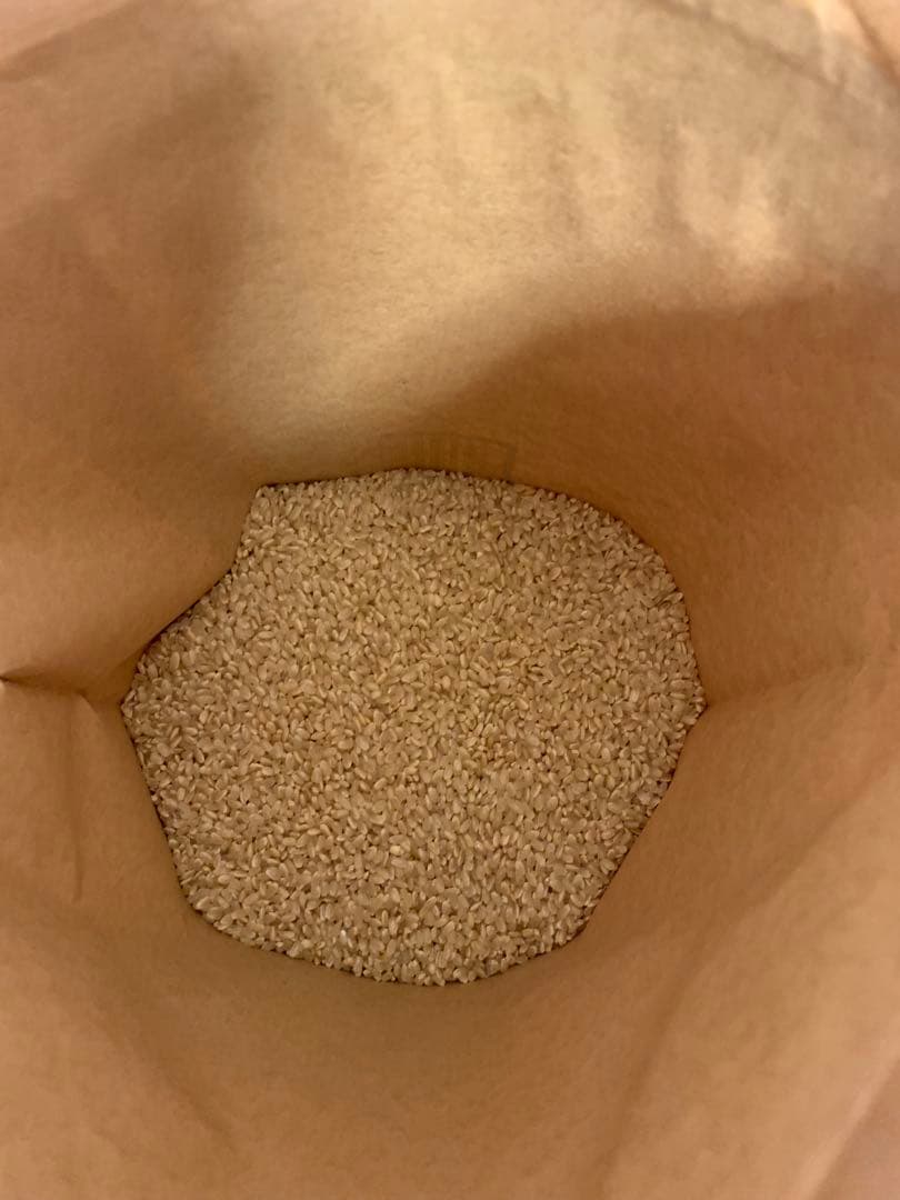 令和7年度産　新米ヒノヒカリ20kg(送料込)農家のお米