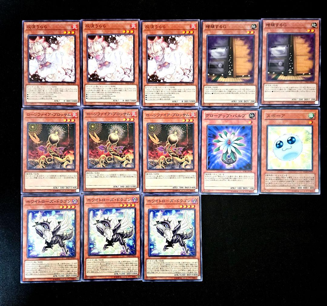 遊戯王 【本格構築‼️】ローズドラゴン 構築済みデッキ‼️