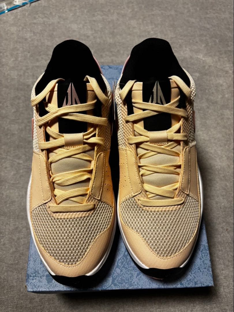 シューズ(男性用) NIKE JA1 EP