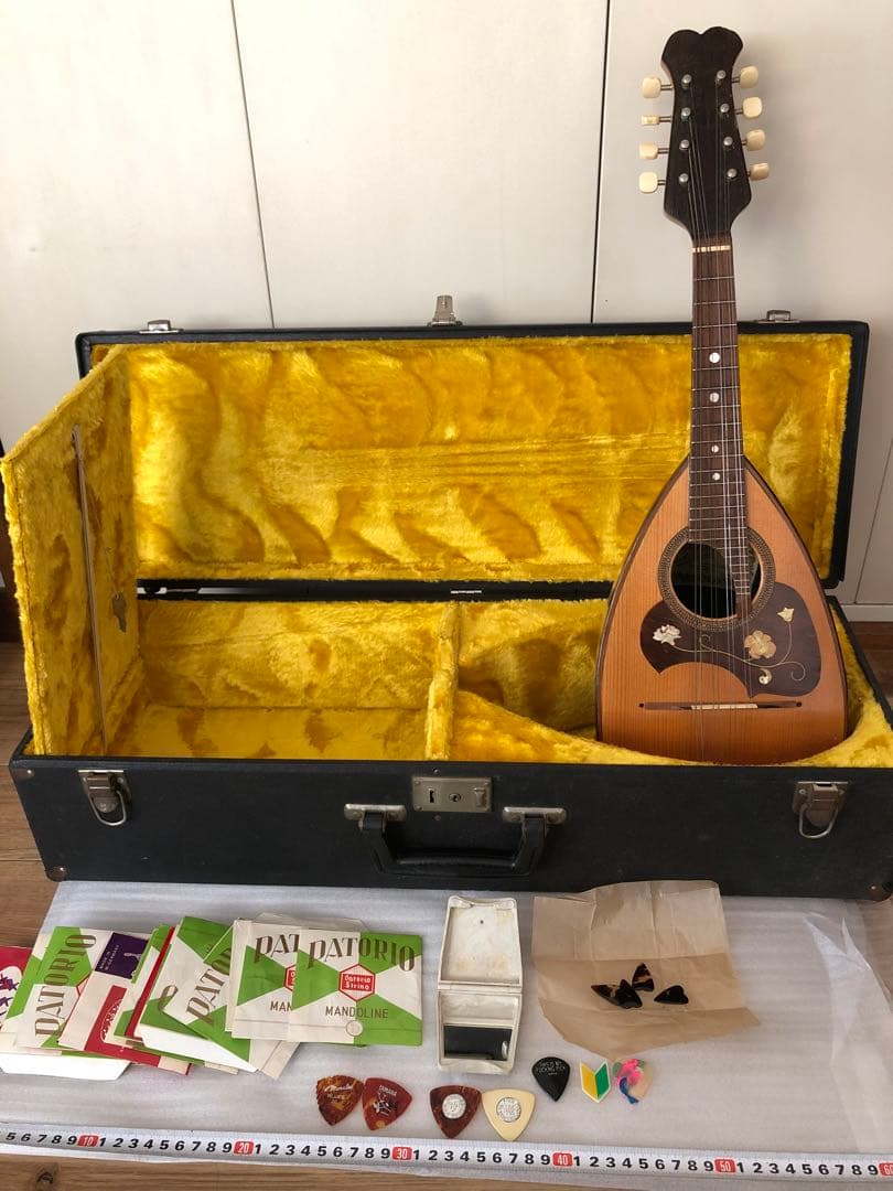 Kunishima マンドリン本体 ハードケース付き 付属品多数付き