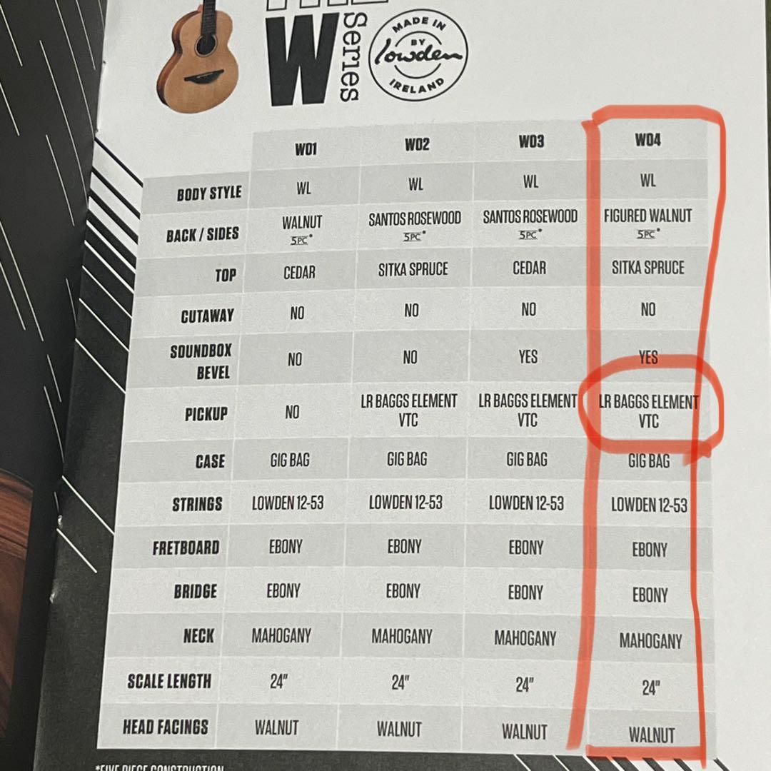 ギター Sheeran BY lowden W04