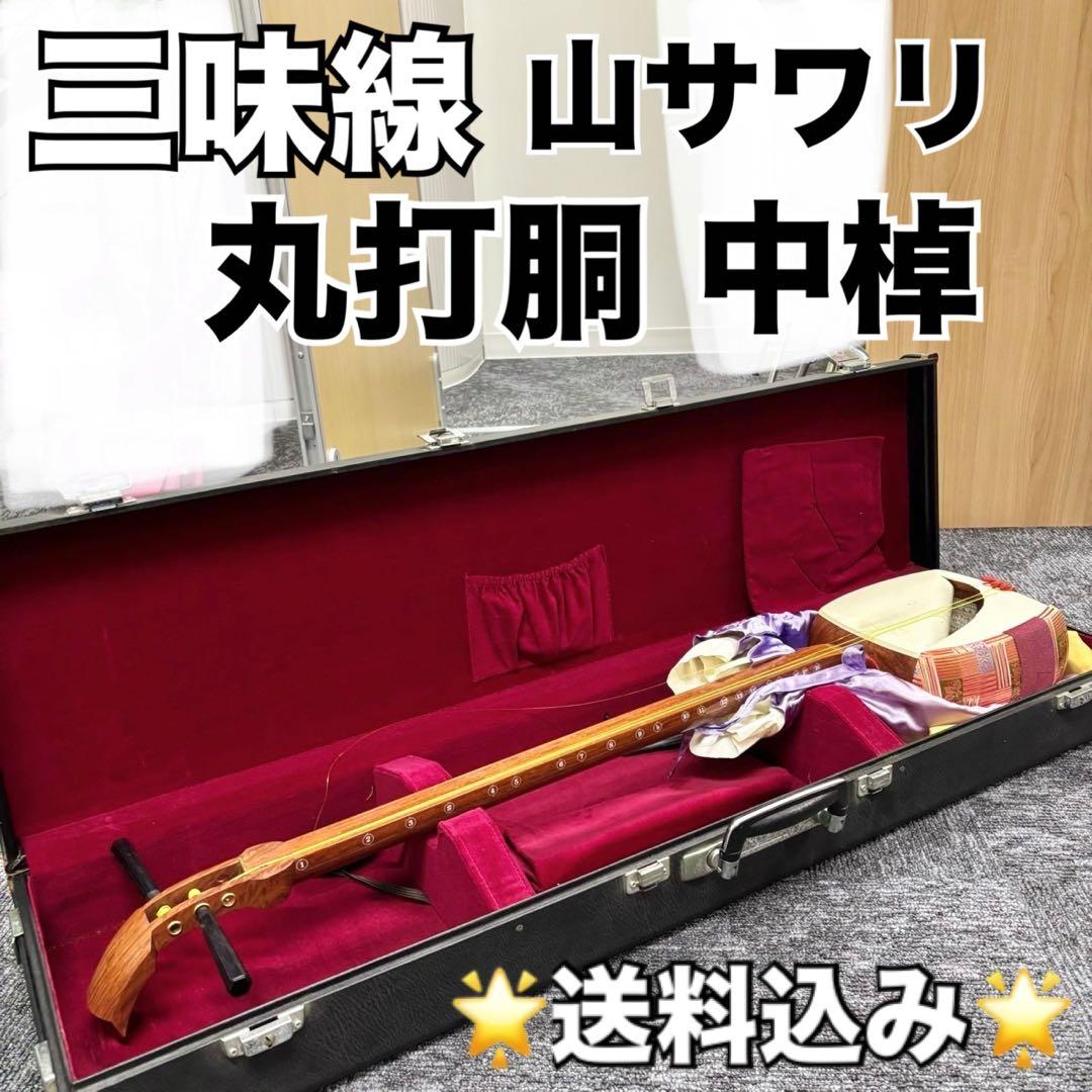 三味線 本体 ハードケース付き 和楽器 楽器 花梨 丸打胴 山サワリ