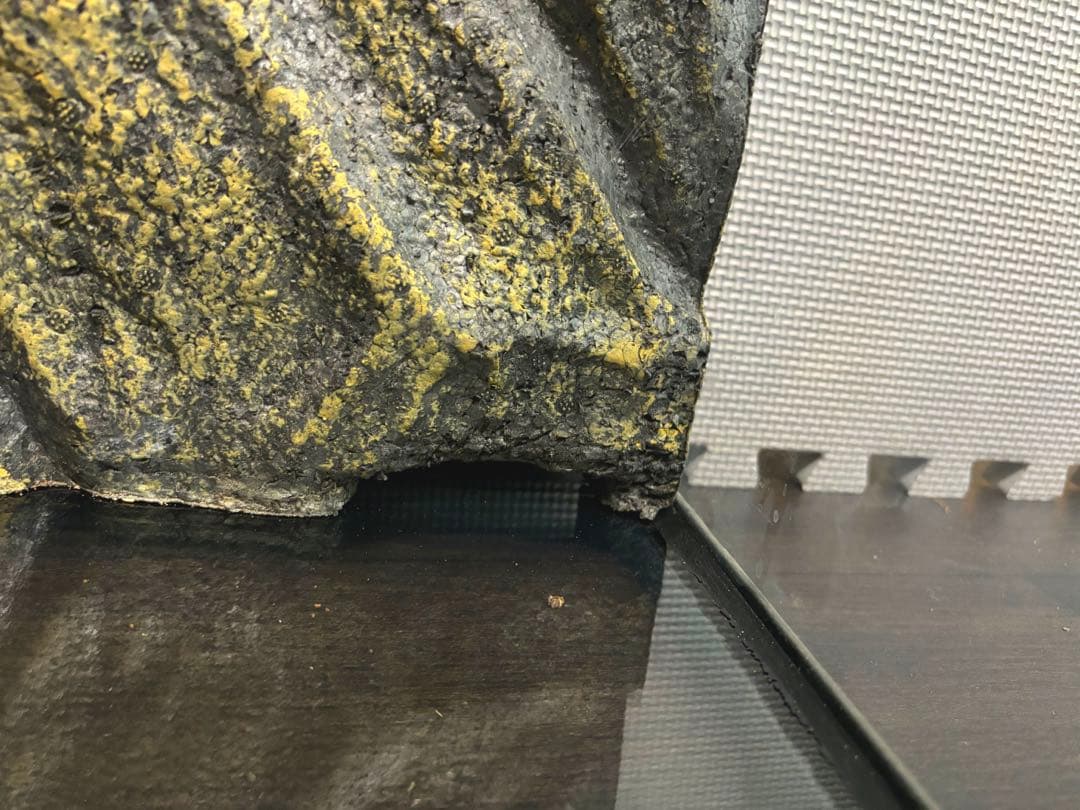 エキゾテラ GEX EXOTERRA GEX 6030 手渡し限定