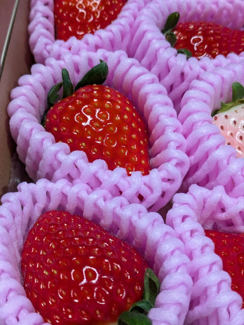 める♡紅白苺１箱♡赤苺３箱♡