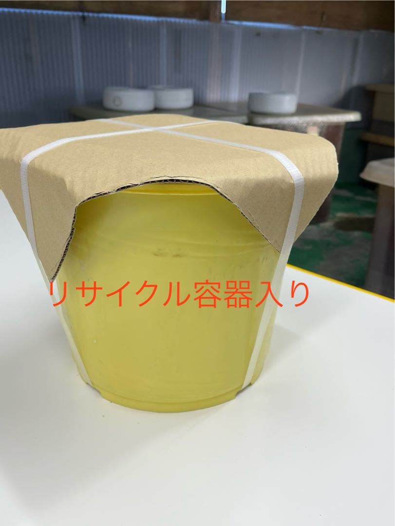 3年蔵出し熟成梅干　種抜き白干し　無添加　無選別　10kg入り