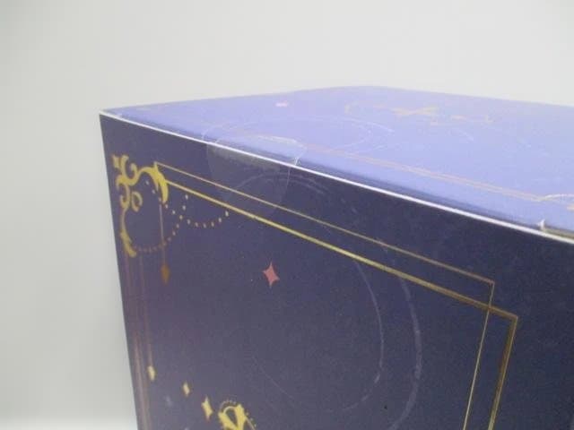 【未開封品】聖処理シスター ペトロニーユ