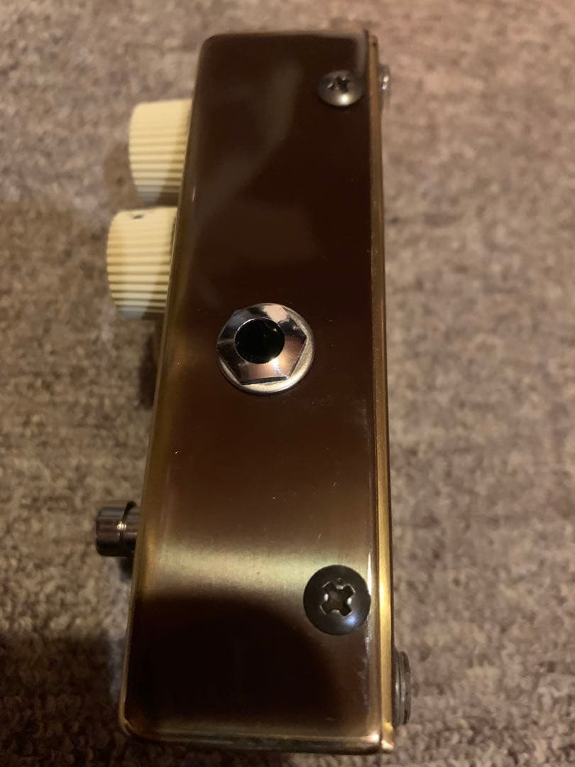 ギター VEMURAM / Jan Ray