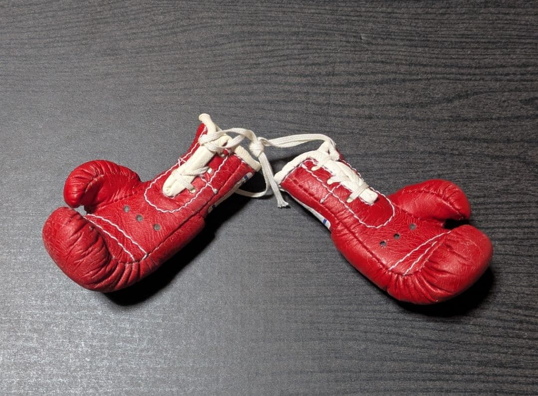 ボクシング マスコットグローブ レパード玉熊×アルバレス