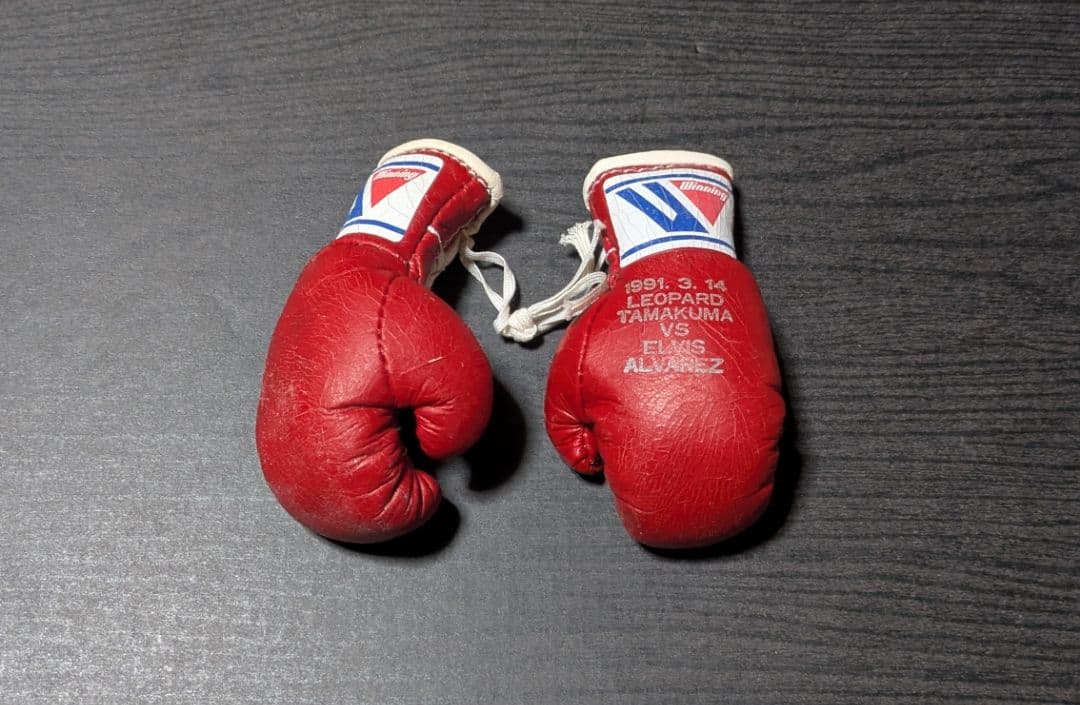 ボクシング マスコットグローブ レパード玉熊×アルバレス