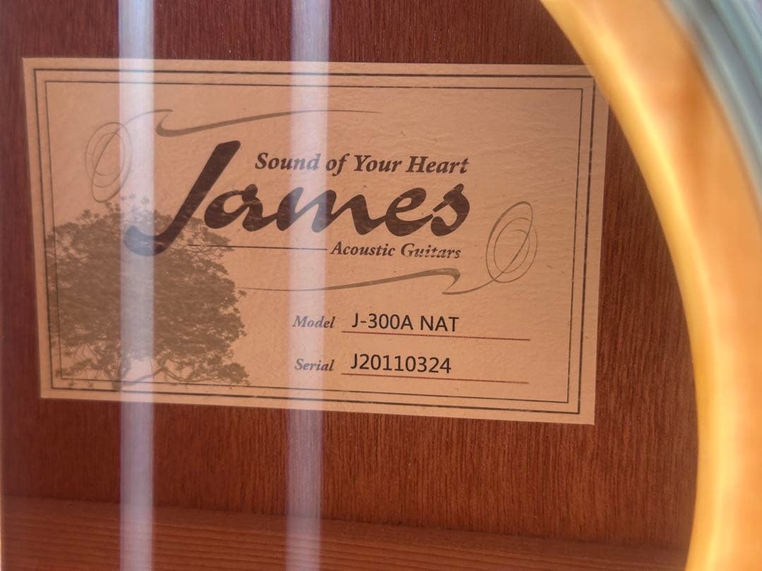 James J-300A NAT アコースティックギター ソフトケース付き