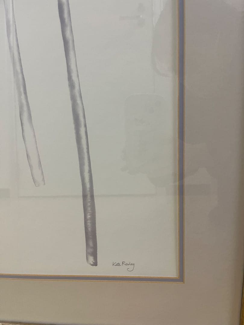 ローラアシュレイ　Ken Riley 植物スケッチ