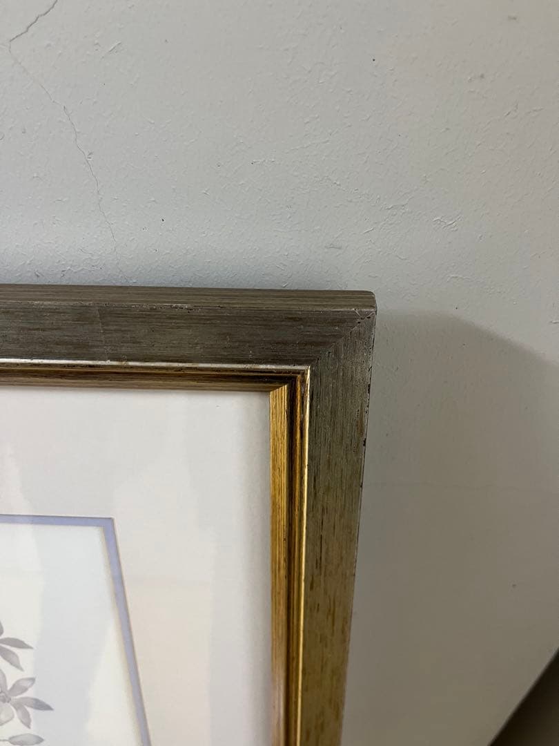 ローラアシュレイ　Ken Riley 植物スケッチ