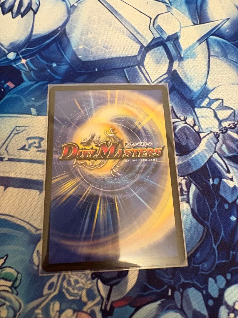 水上第九院　シャコガイル a