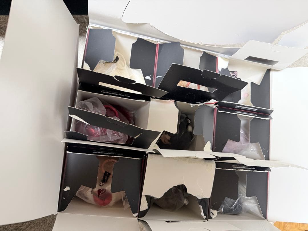 SKULLPANDA You Found Me! シリーズ シークレット入