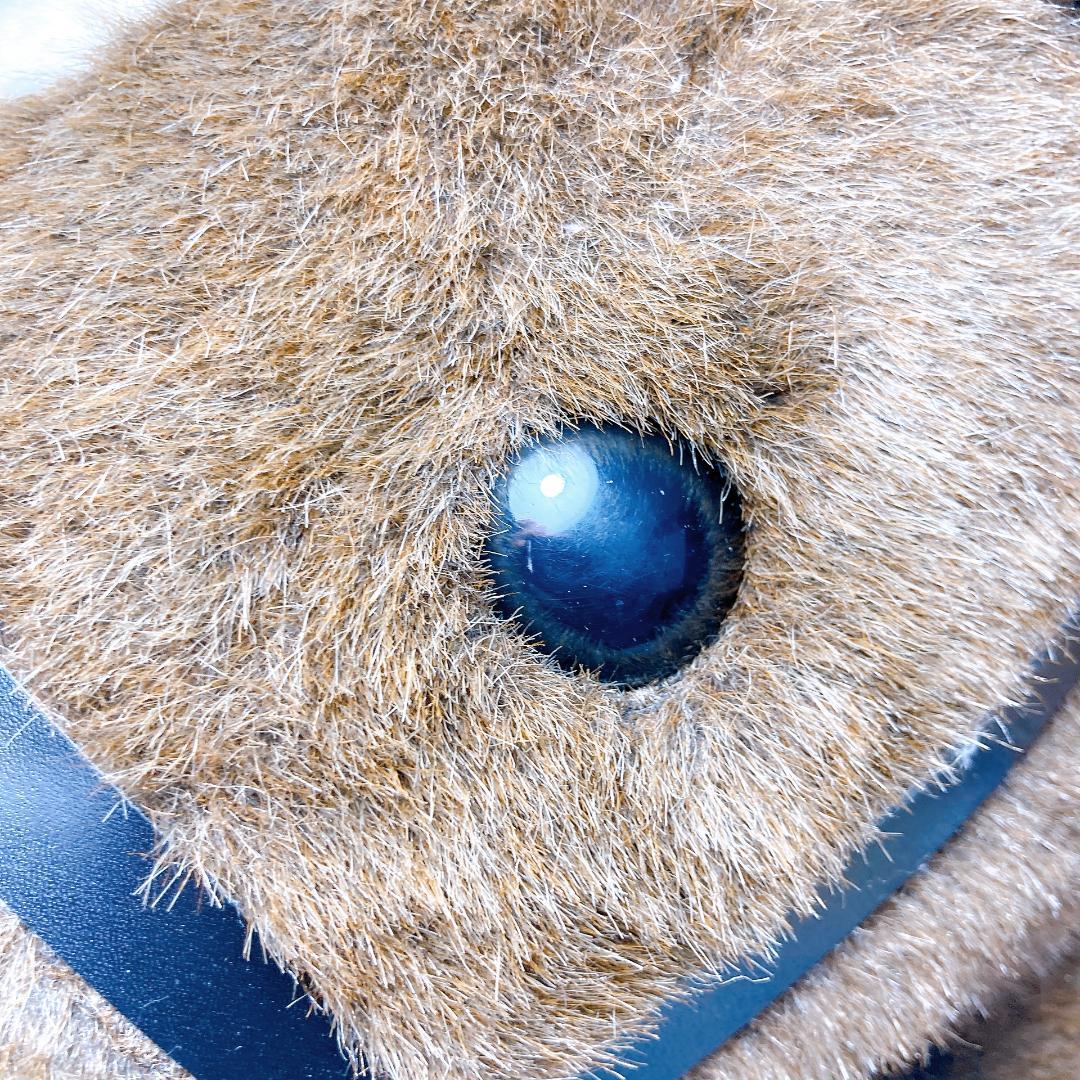 AVANTI 第74回日本ダービー ウォッカ 2L ぬいぐるみ　|4061|☆