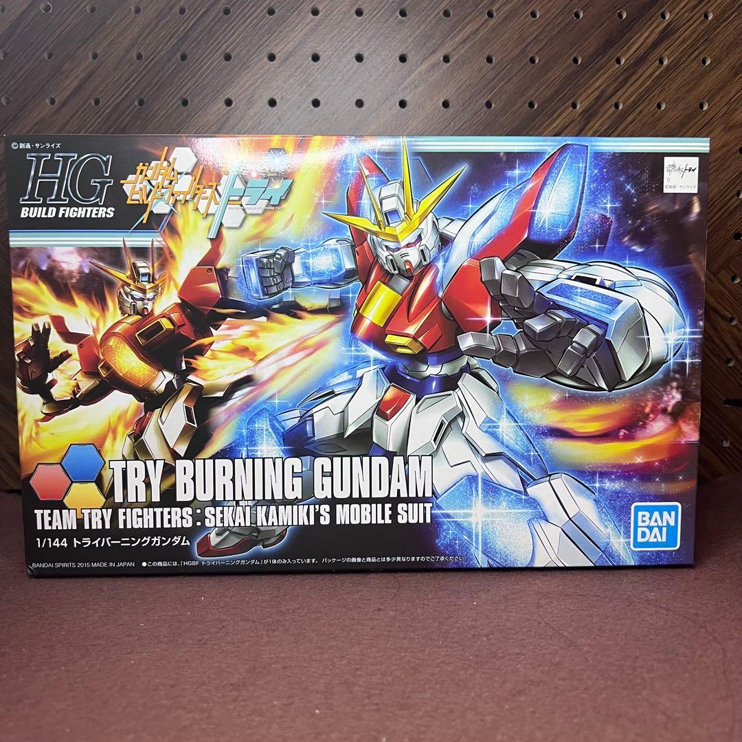 ガンプラ　まとめ売り　トライバーニング　ライトニング　レギルス