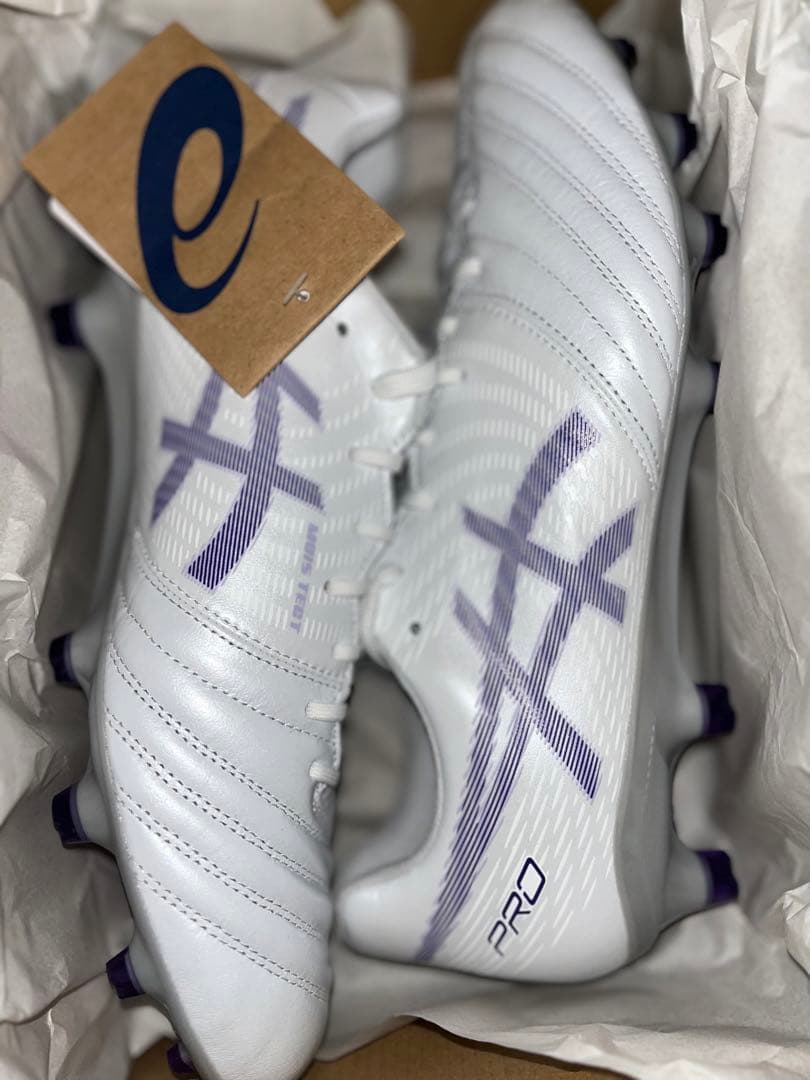 DS LIGHT X-FLY PRO 2(27センチ)